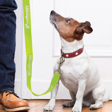 Load image into Gallery viewer, Trek Dog Leash
