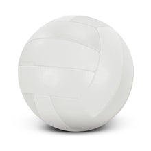 Load image into Gallery viewer, Volleyball Pro
